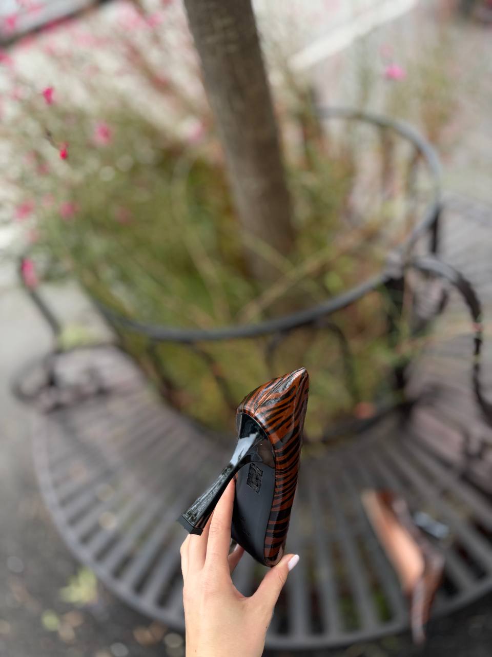 Фото Federica Lancioni