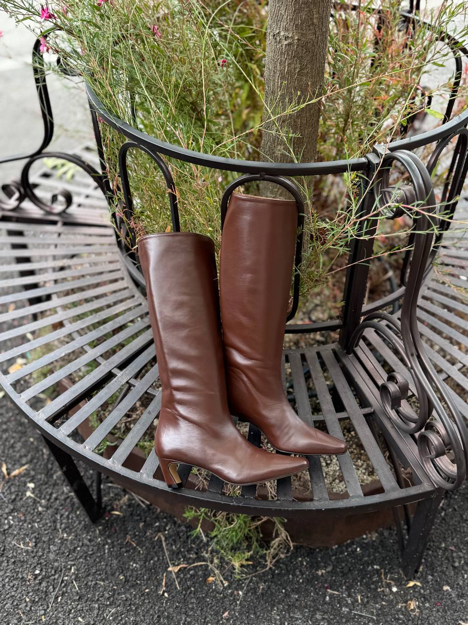 Фото Federica Lancioni