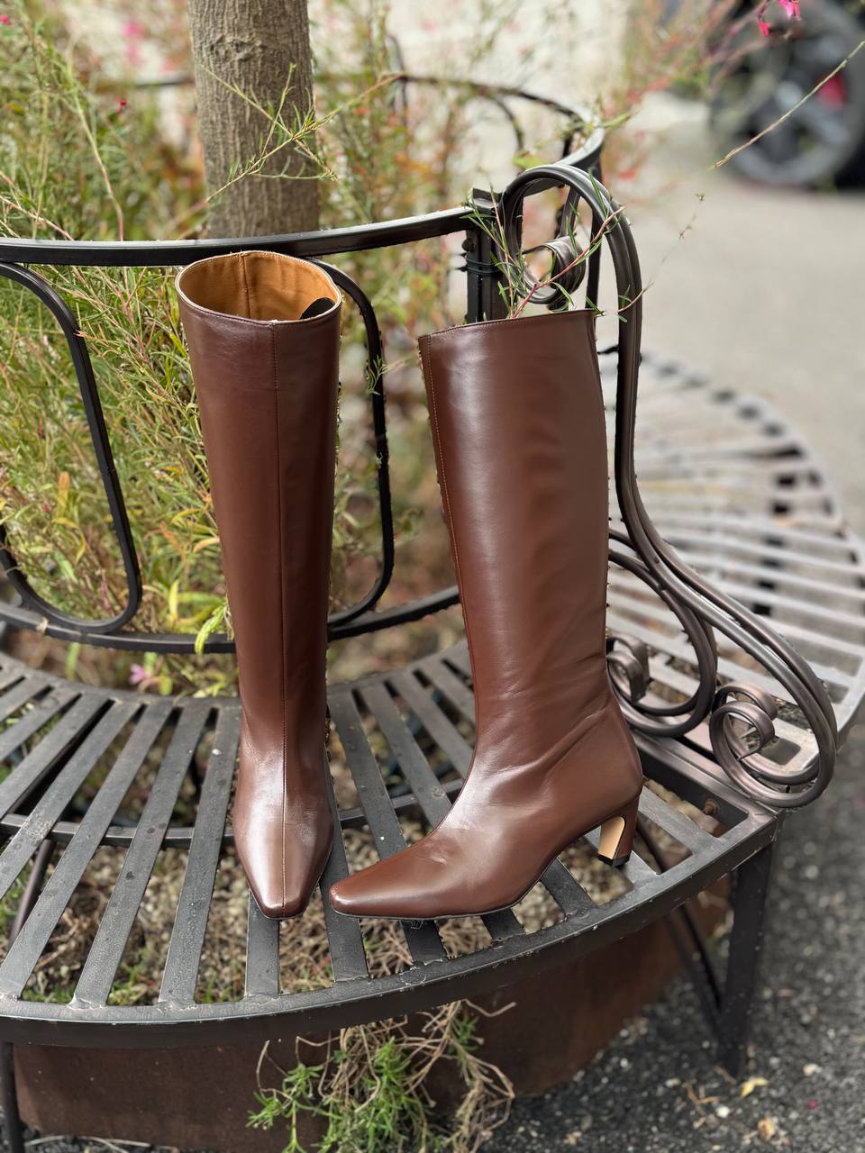 Фото Federica Lancioni