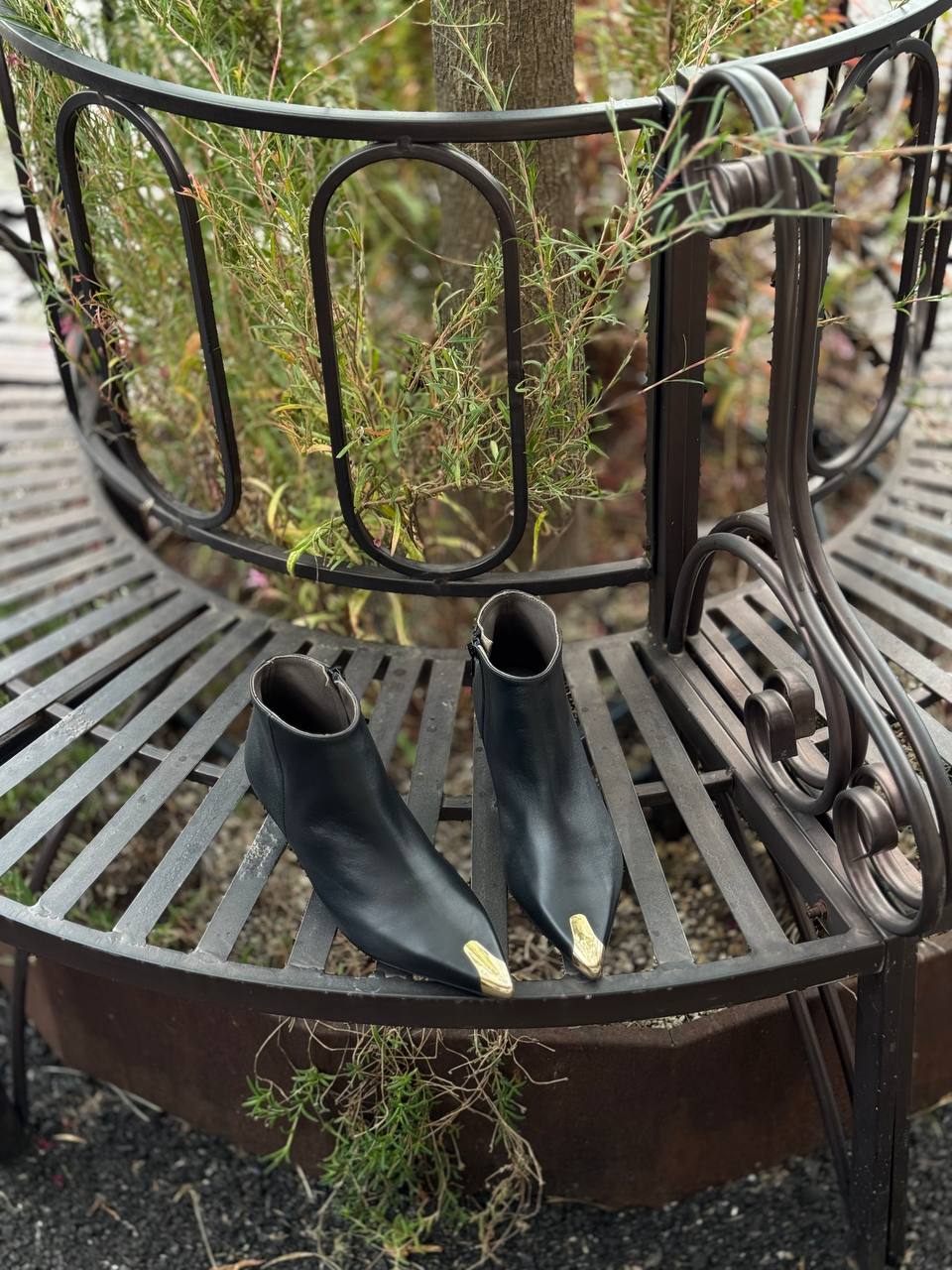 Фото Federica Lancioni