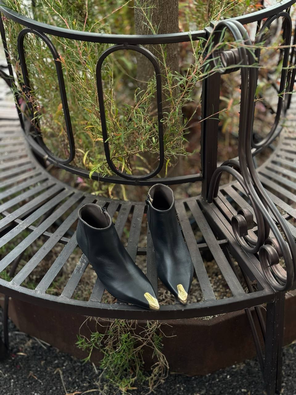 Фото Federica Lancioni