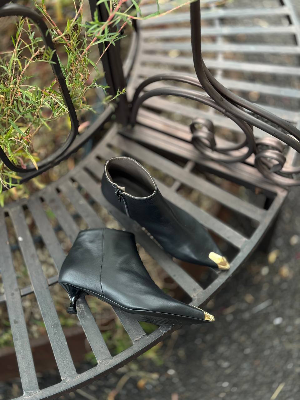 Фото Federica Lancioni