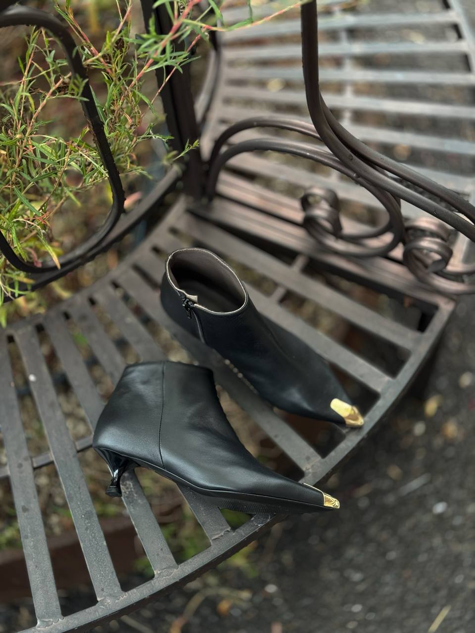 Фото Federica Lancioni