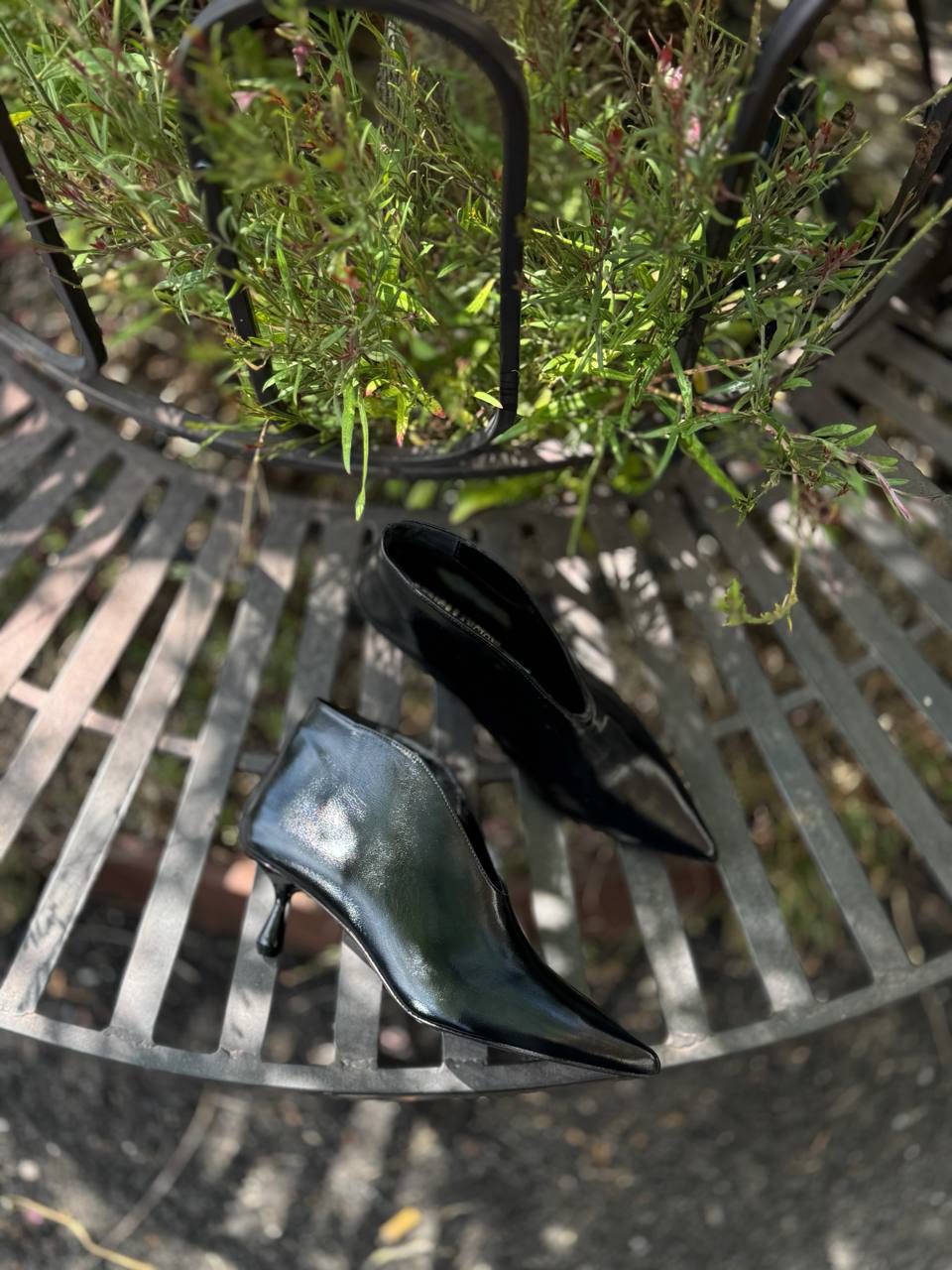 Фото Federica Lancioni