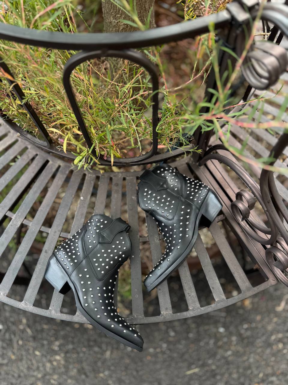 Фото Federica Lancioni