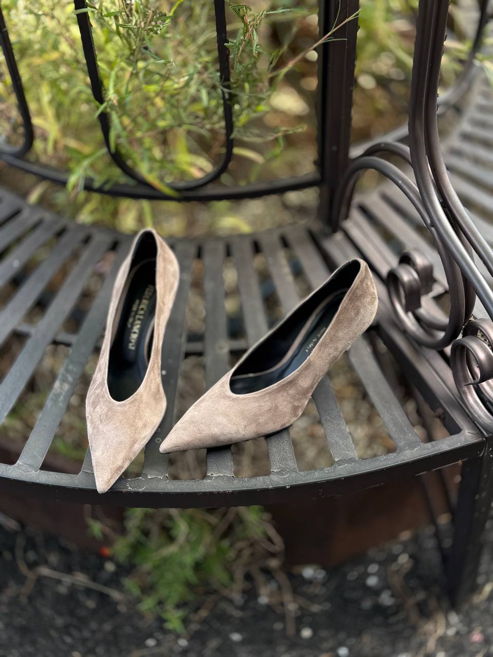 Фото Federica Lancioni