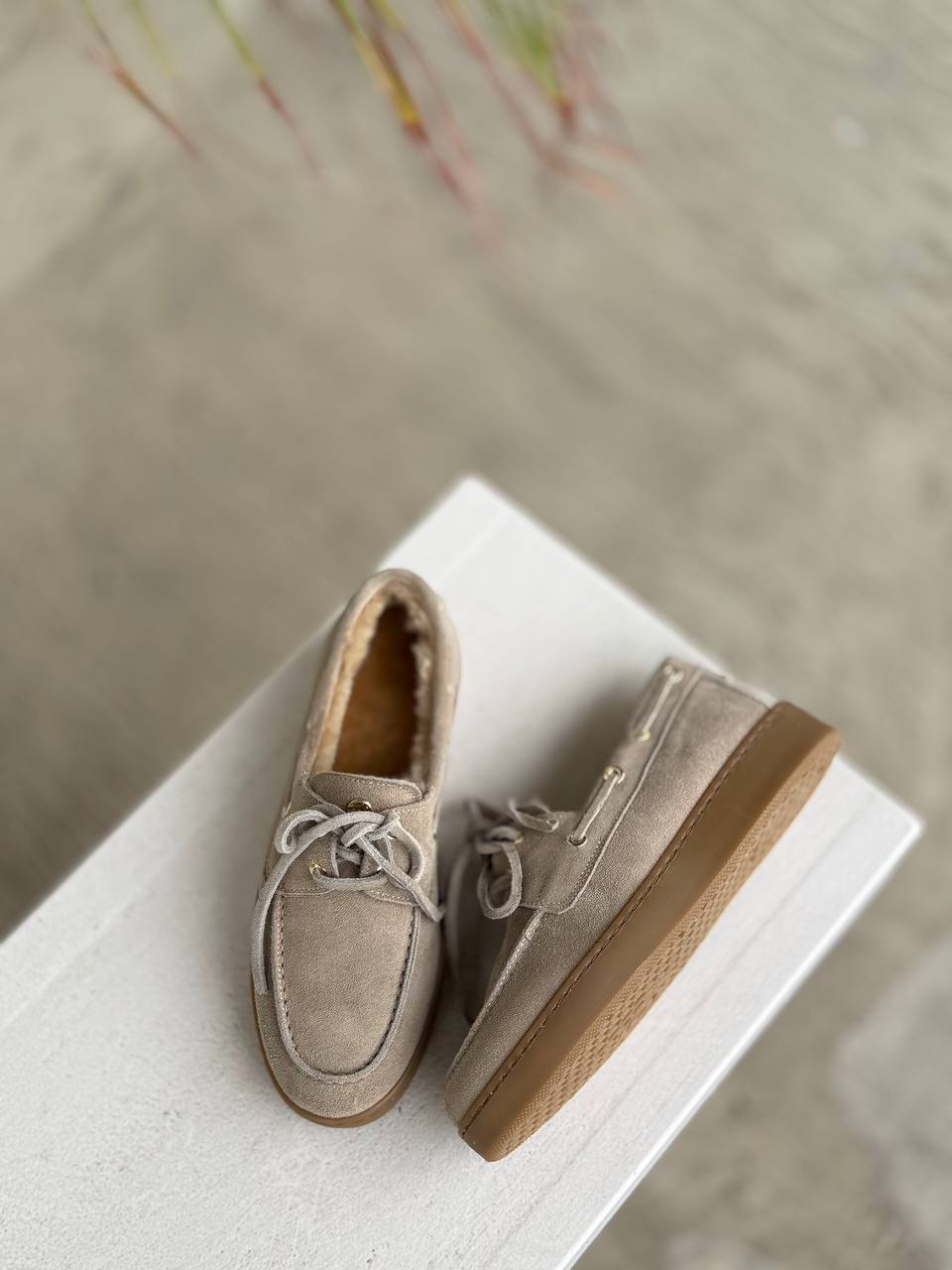 Фото Federica Lancioni