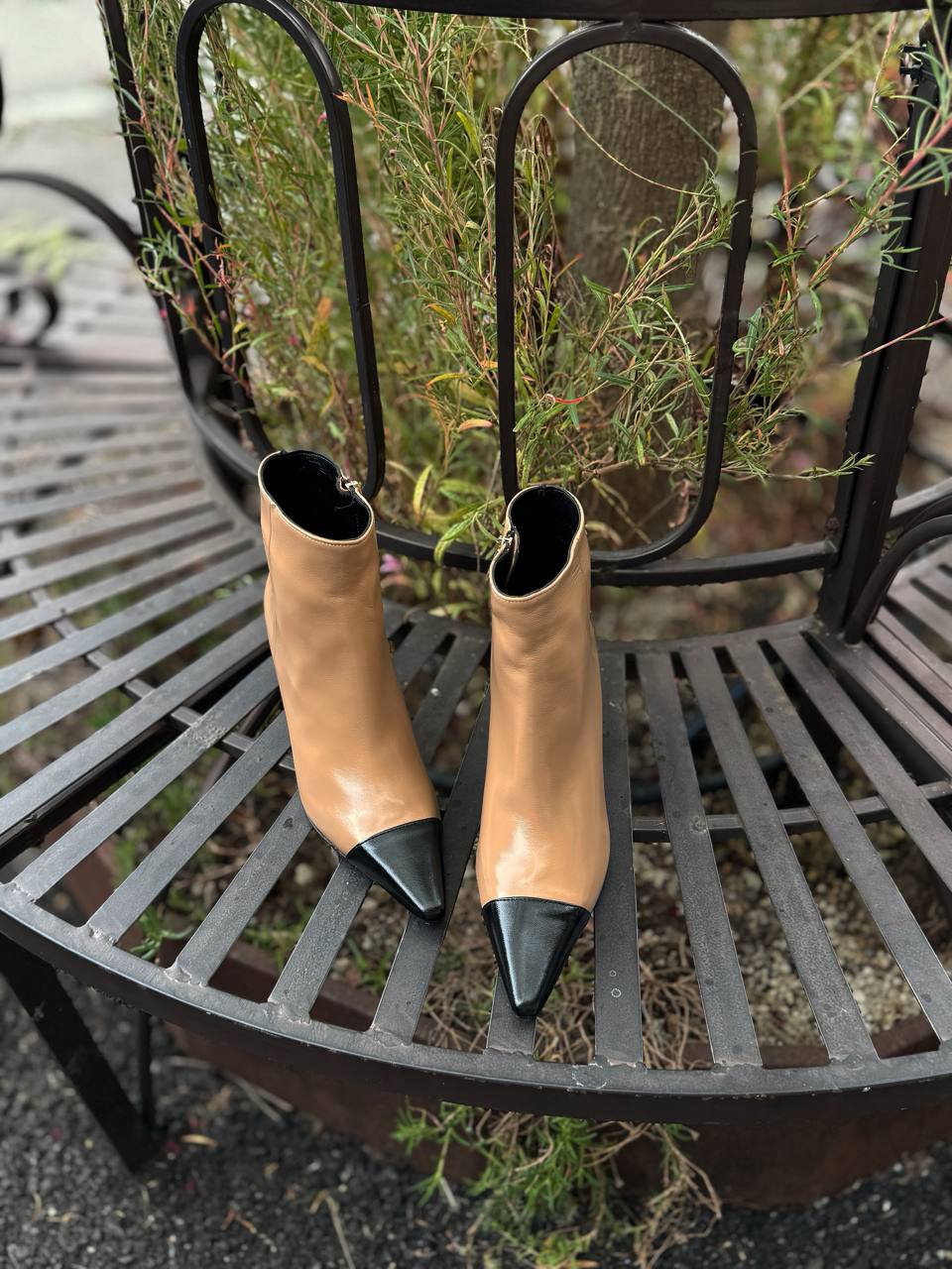 Фото Federica Lancioni