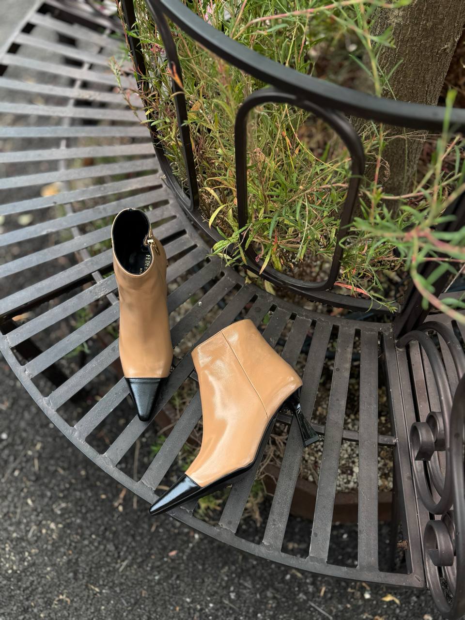 Фото Federica Lancioni