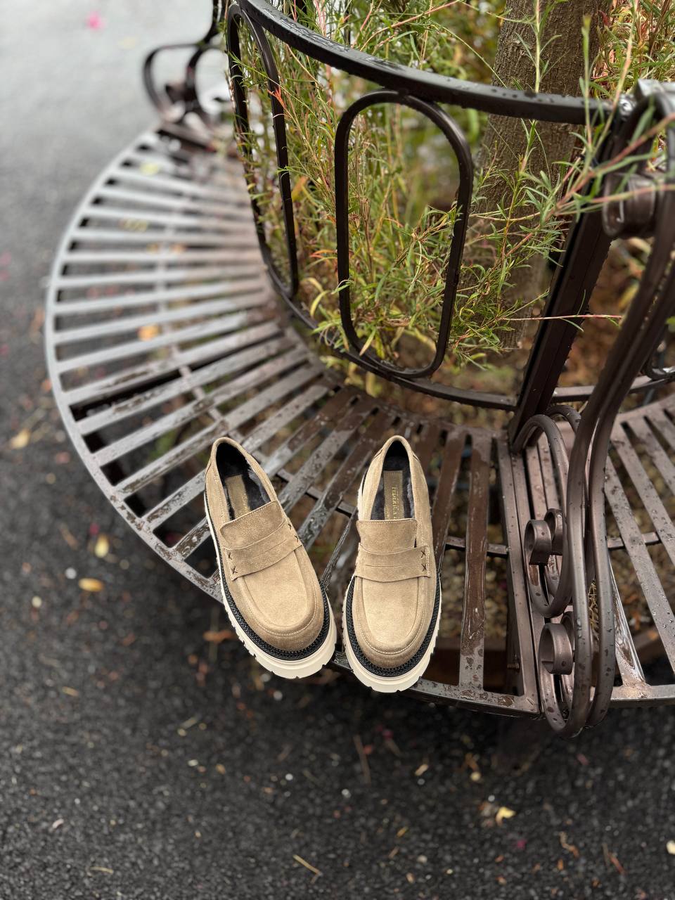 Фото Federica Lancioni