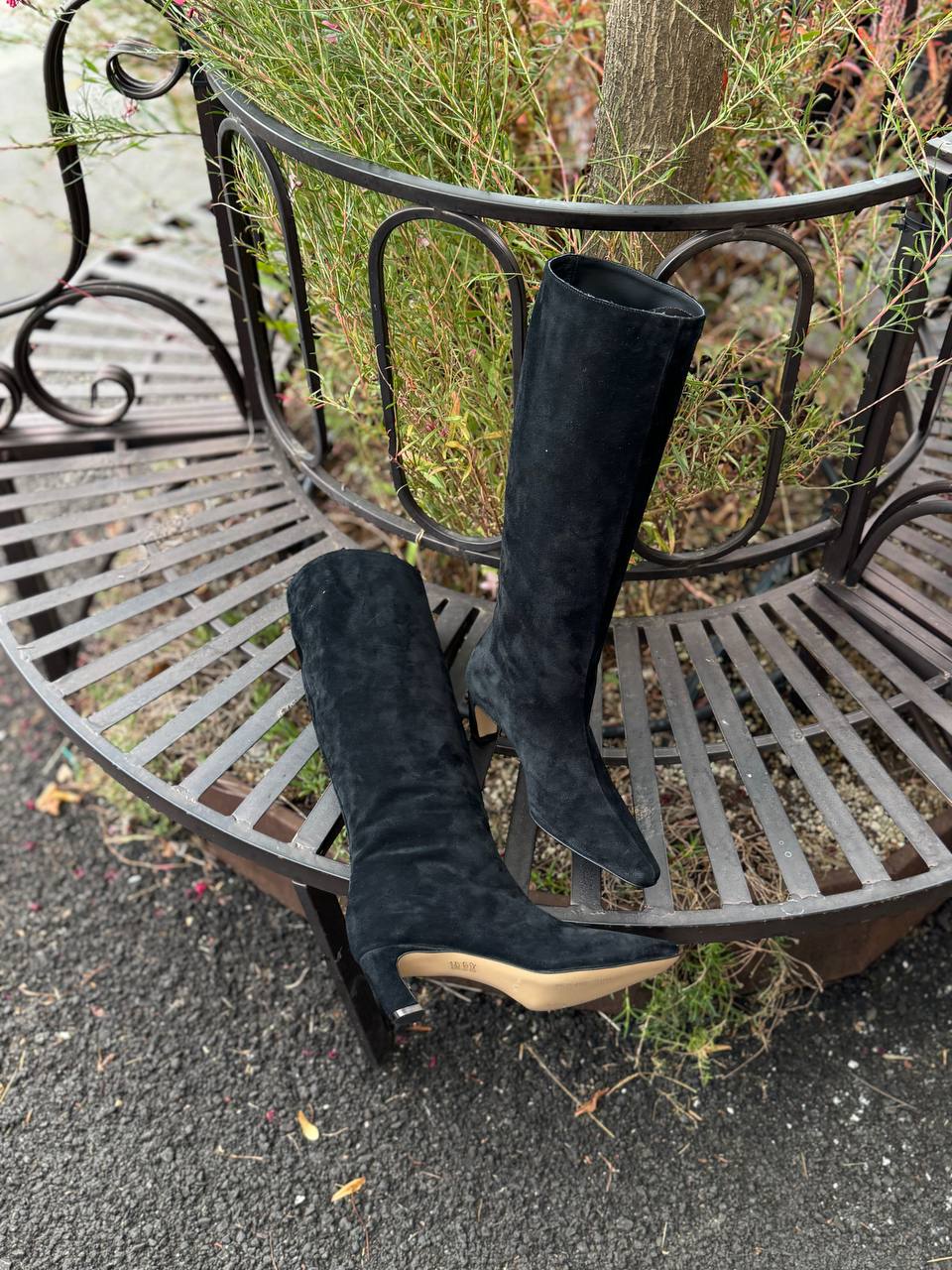 Фото Federica Lancioni