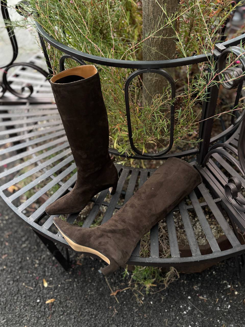 Фото Federica Lancioni