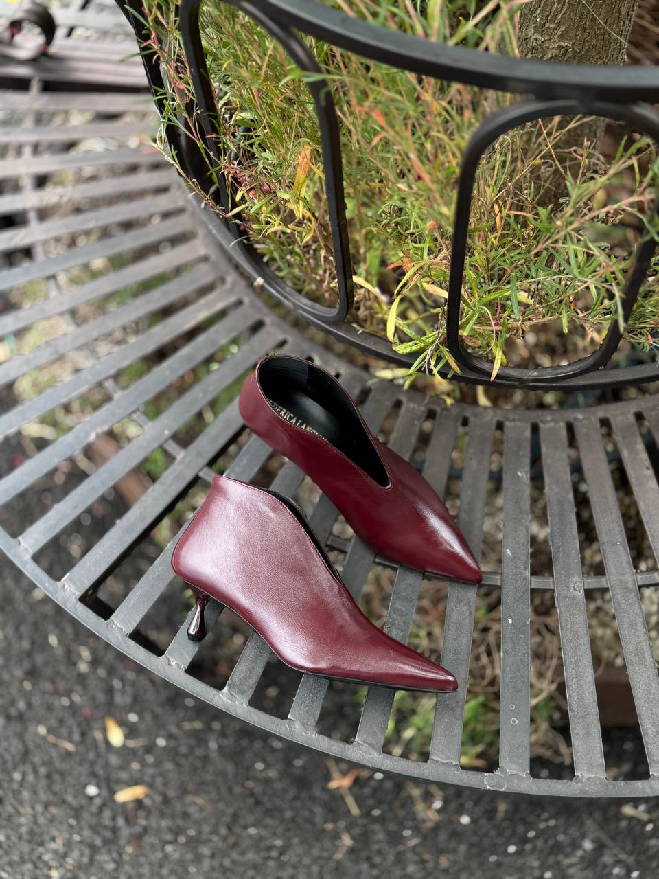 Фото Federica Lancioni