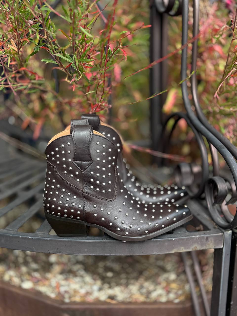 Фото Federica Lancioni