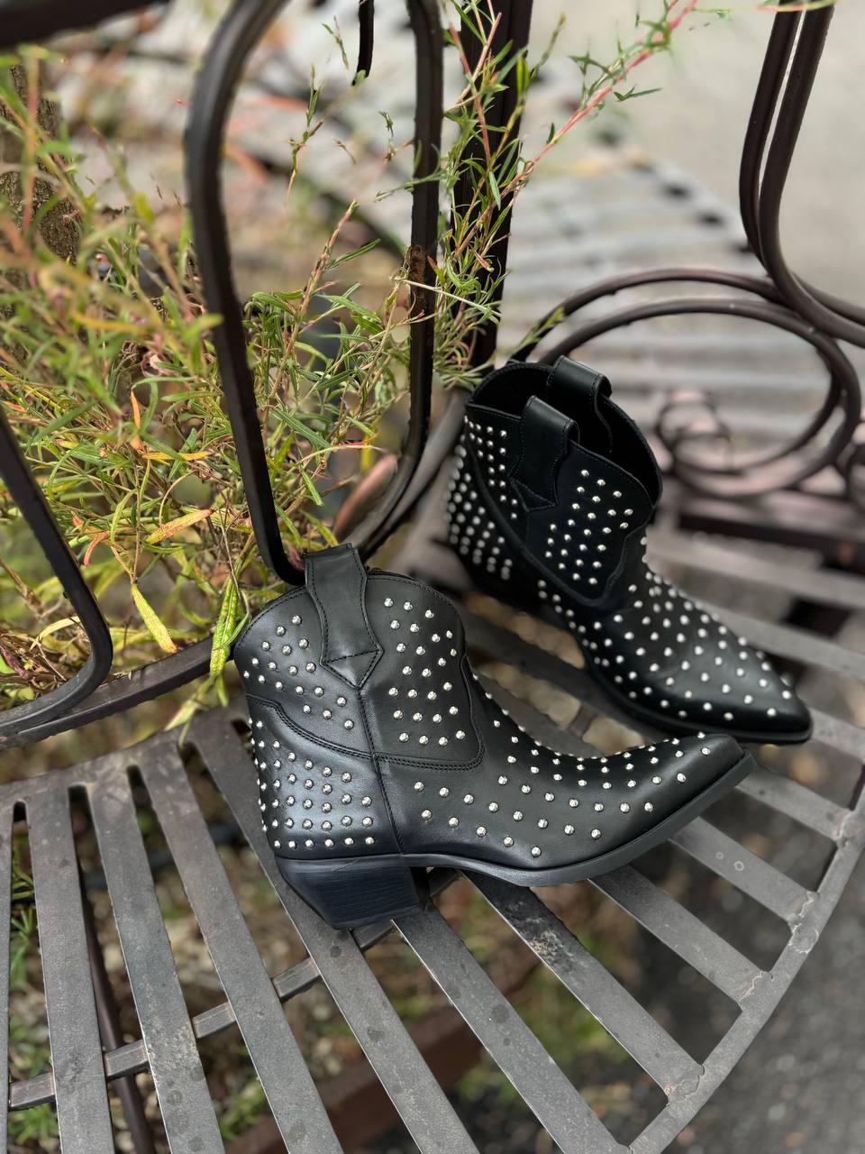 Фото Federica Lancioni