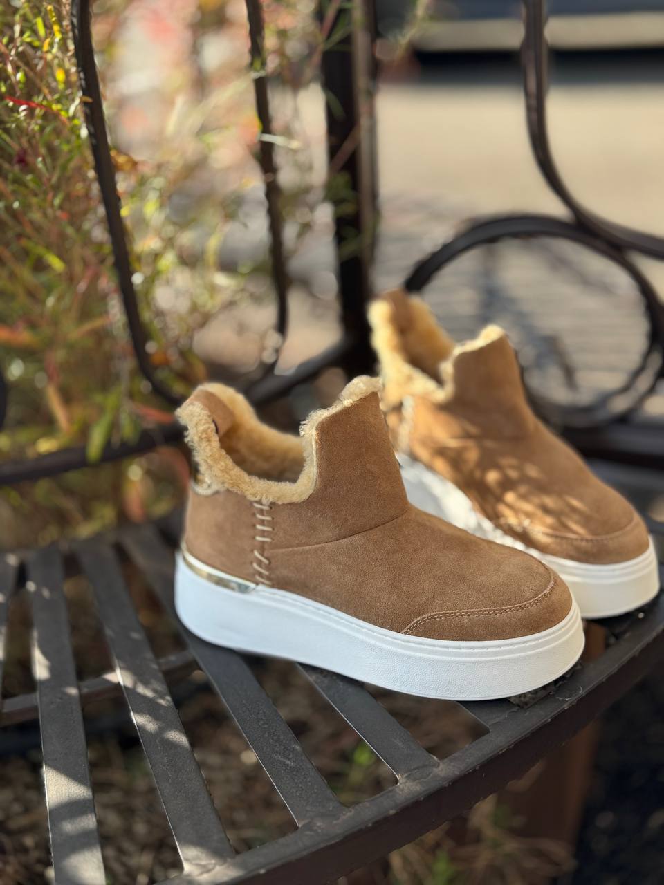 Фото Federica Lancioni