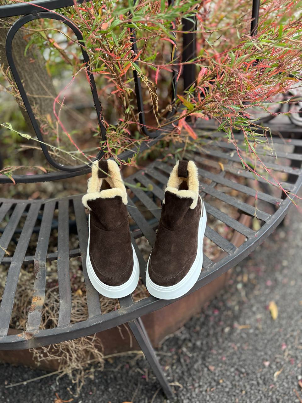 Фото Federica Lancioni