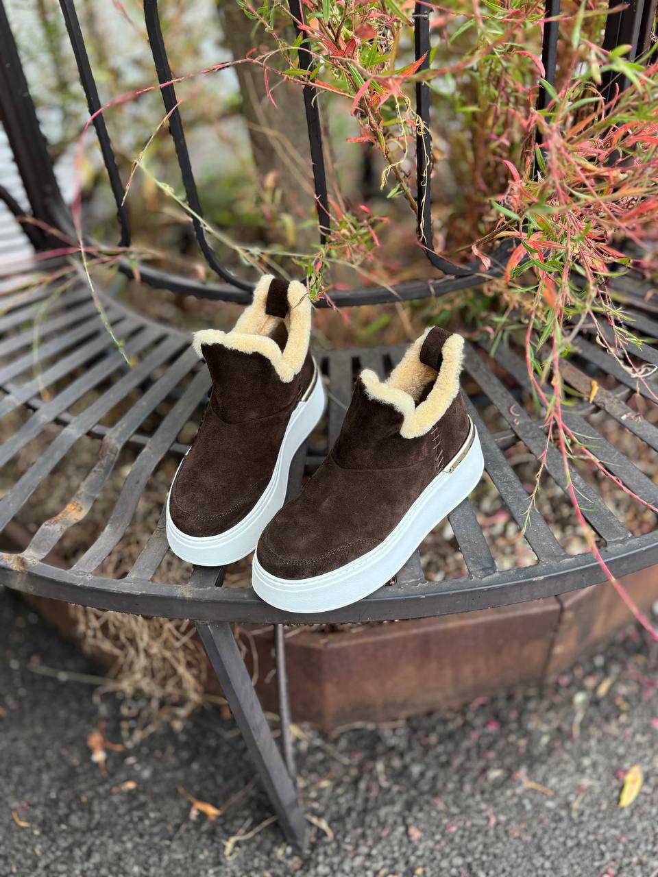 Фото Federica Lancioni