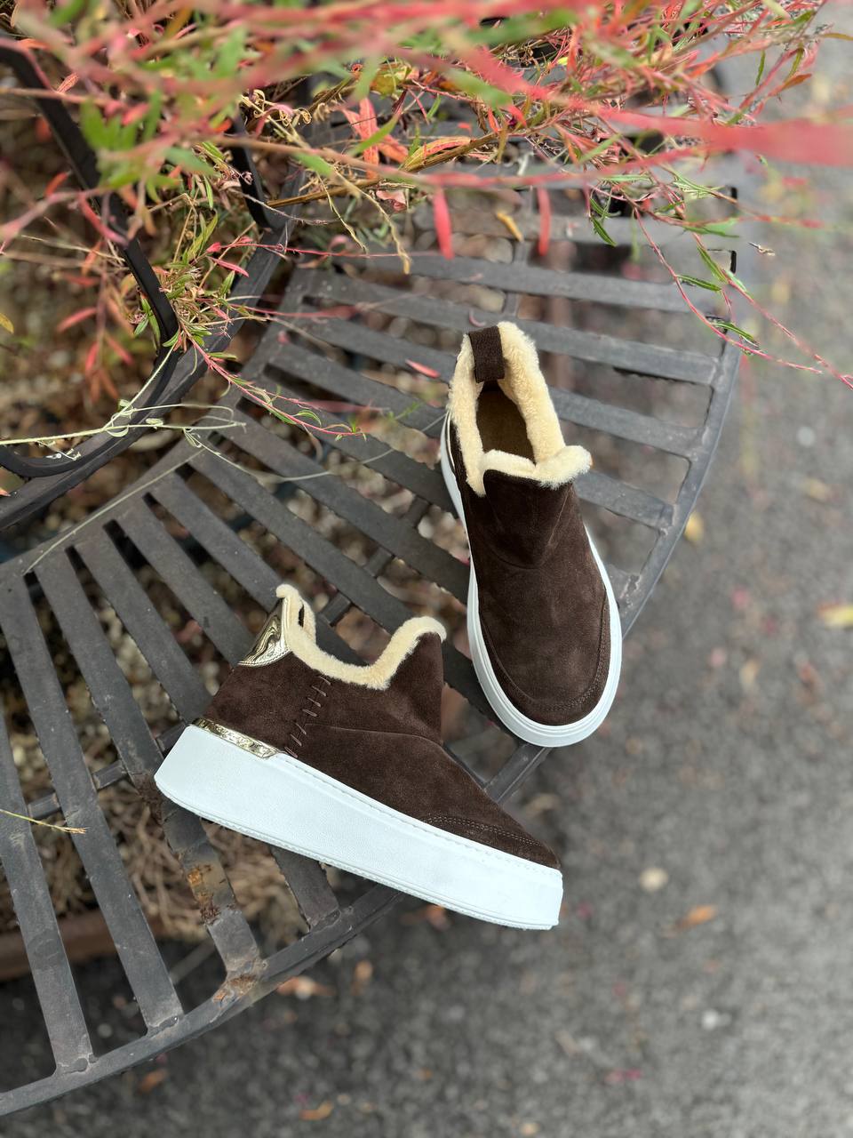 Фото Federica Lancioni