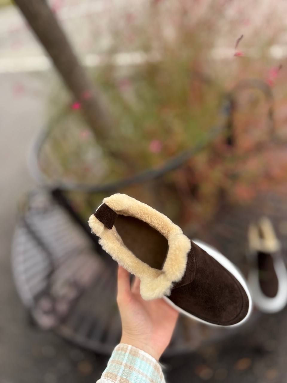 Фото Federica Lancioni