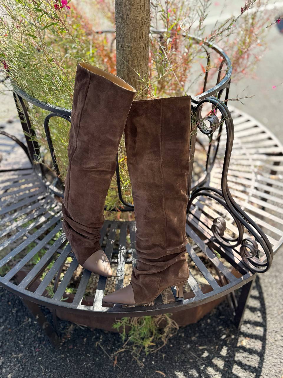 Фото Federica Lancioni