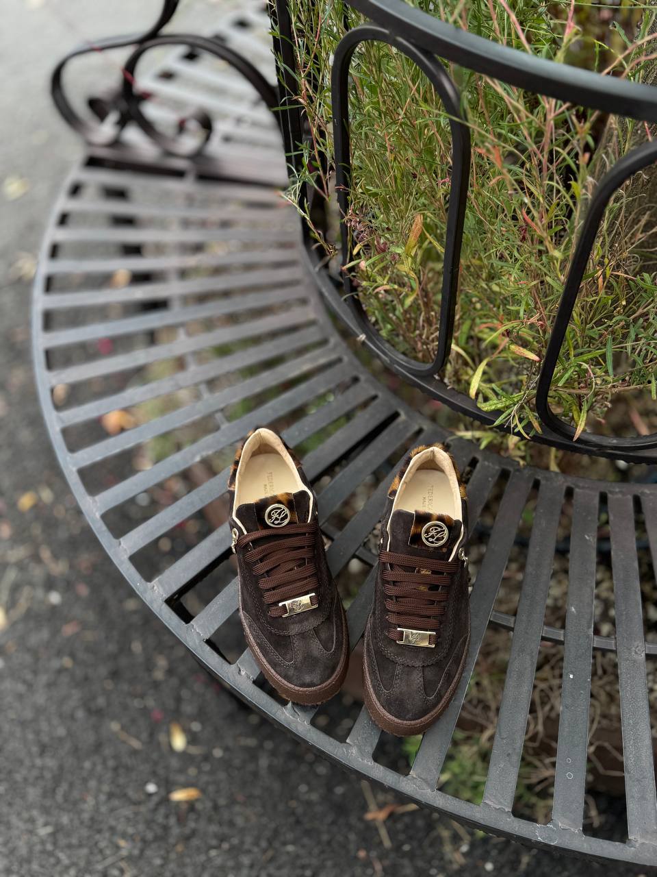 Фото Federica Lancioni