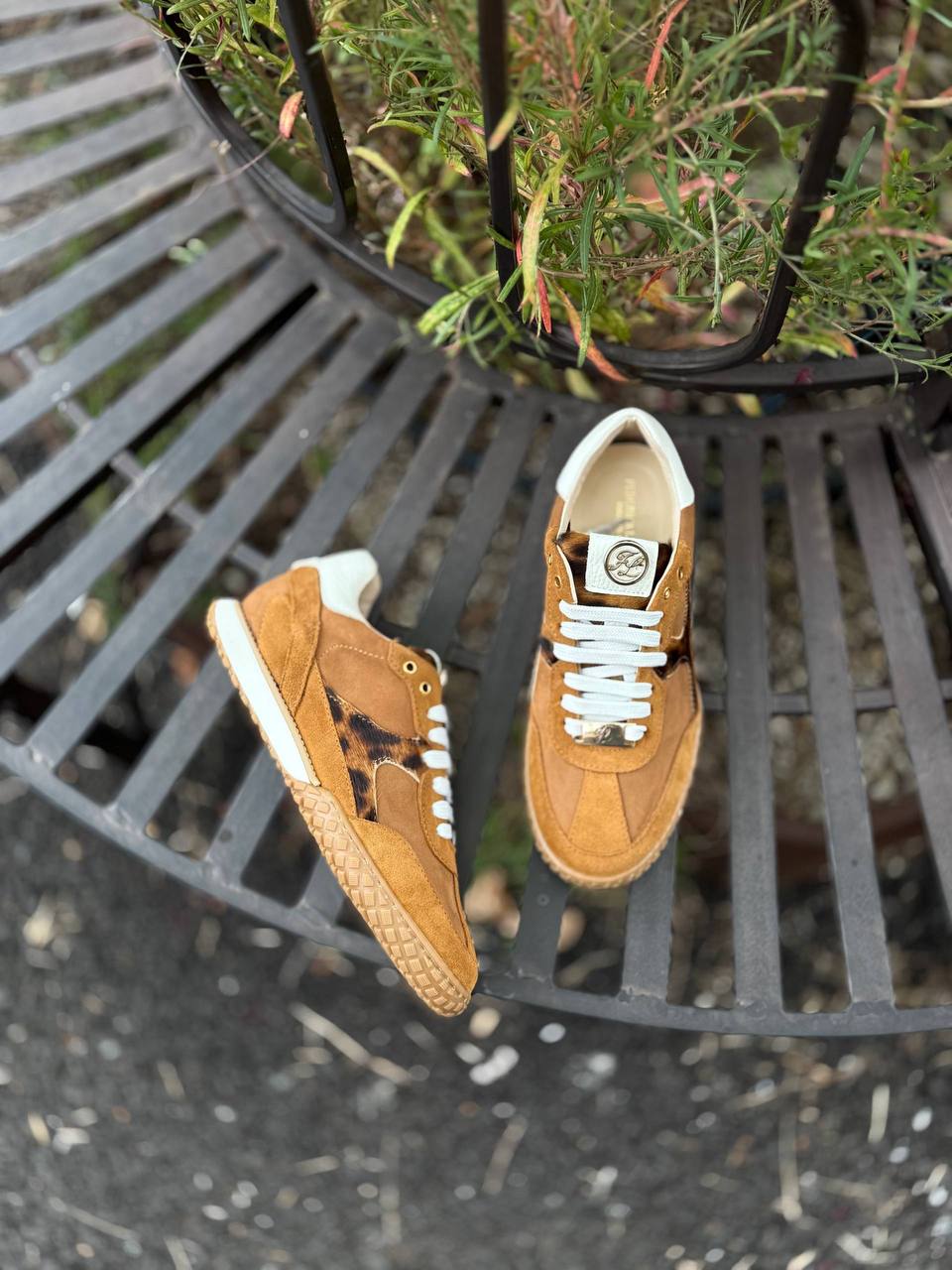 Фото Federica Lancioni