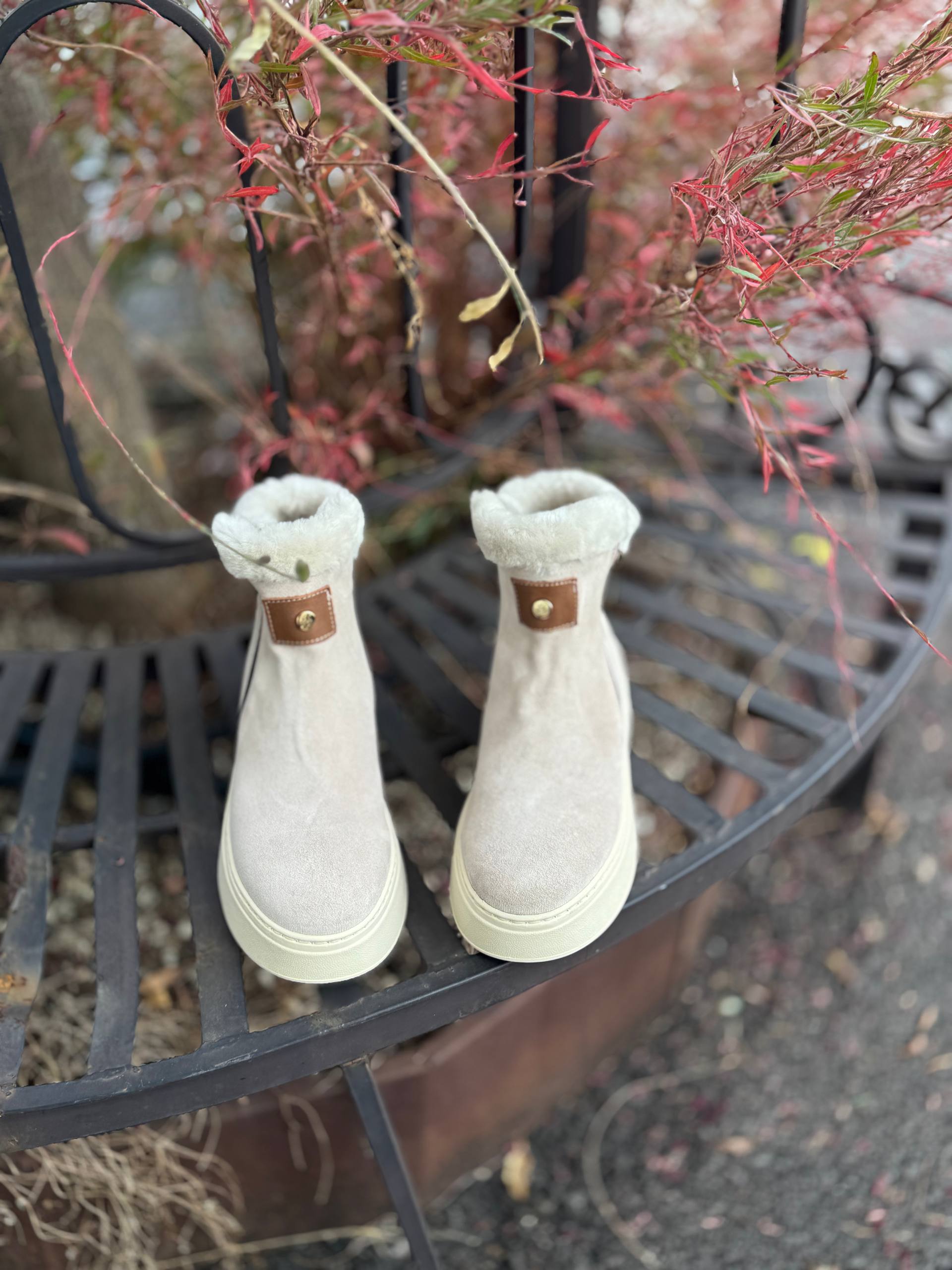 Фото Federica Lancioni