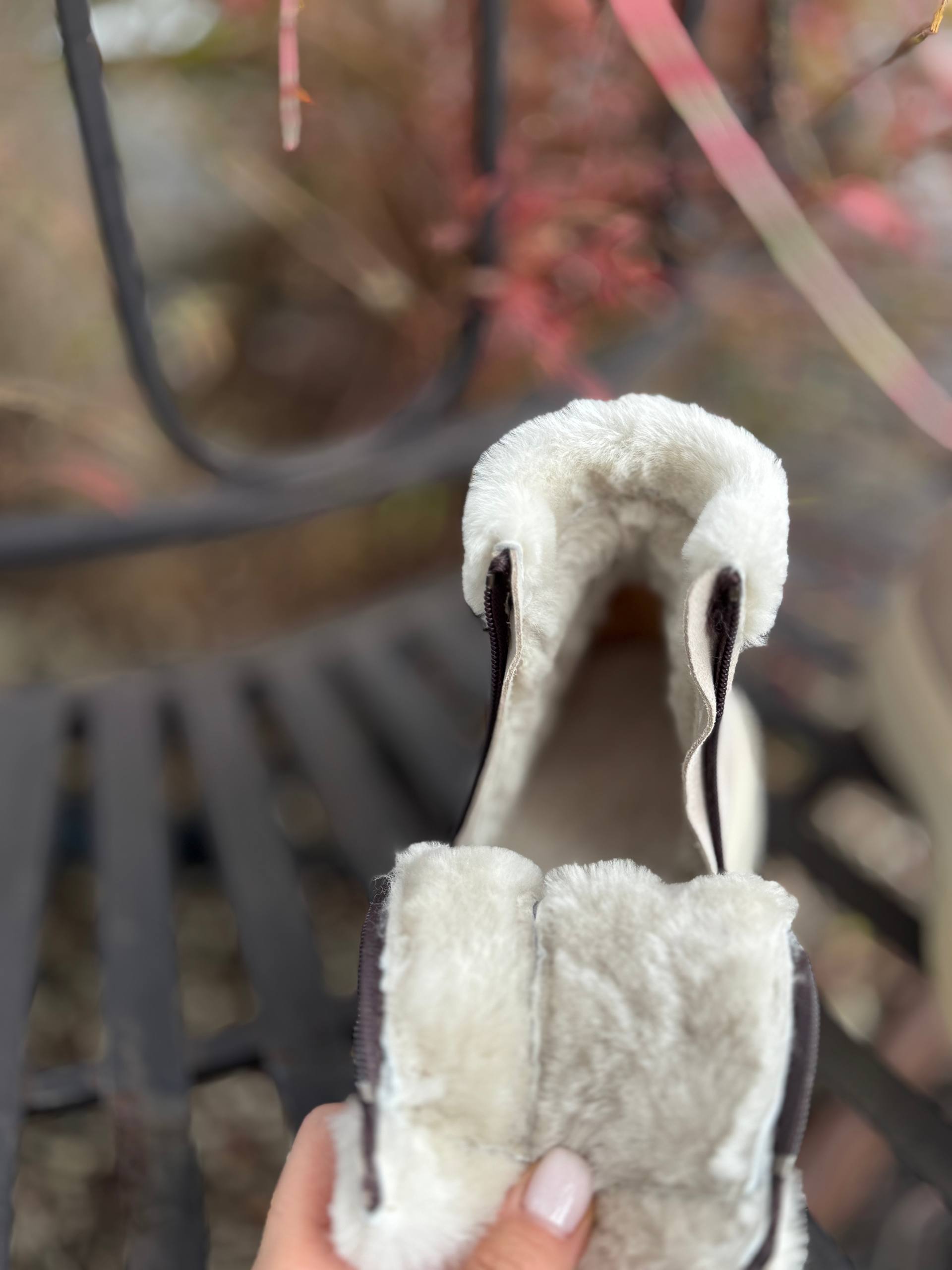 Фото Federica Lancioni