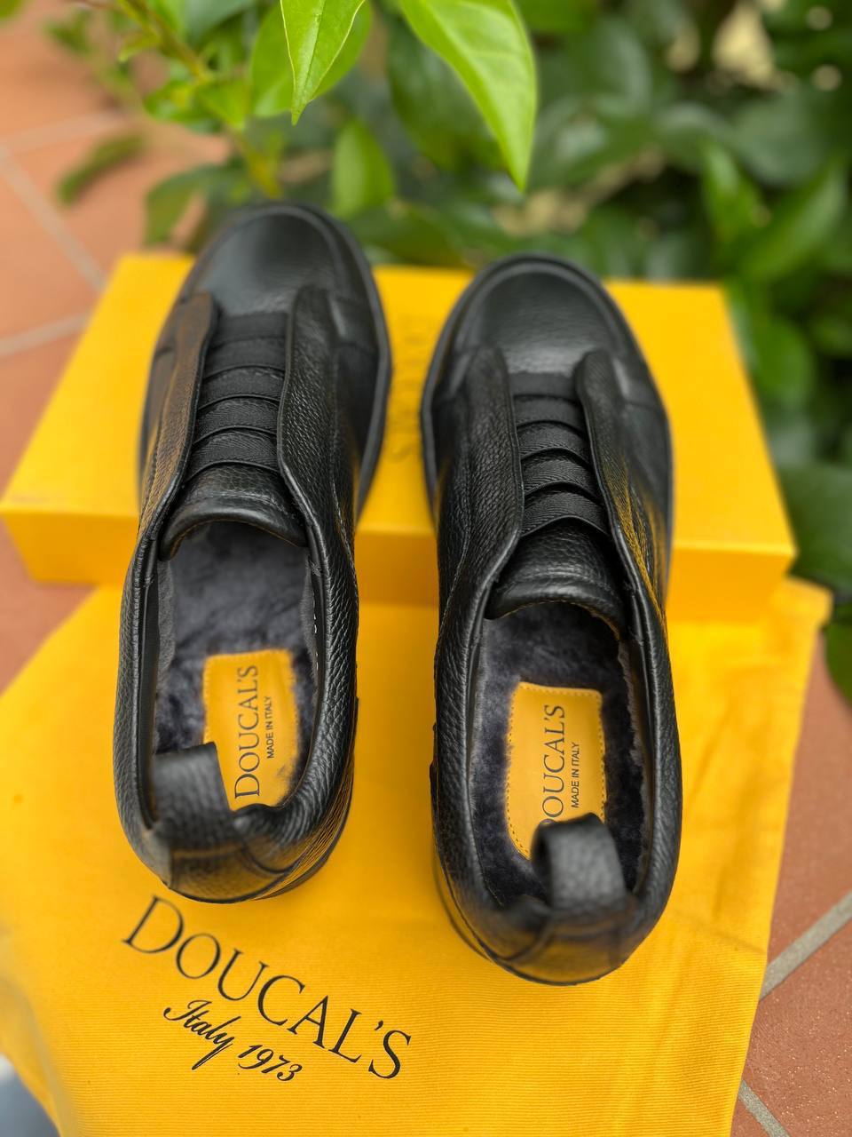 Фото Roberto Serpentini