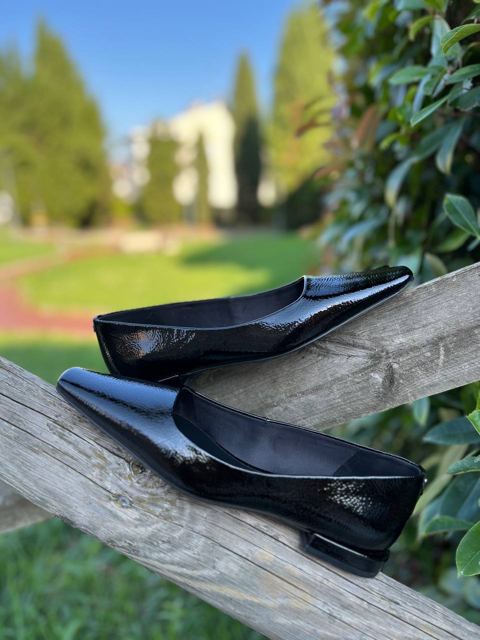 Фото Roberto Serpentini