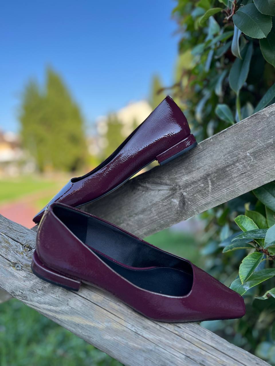 Фото Roberto Serpentini