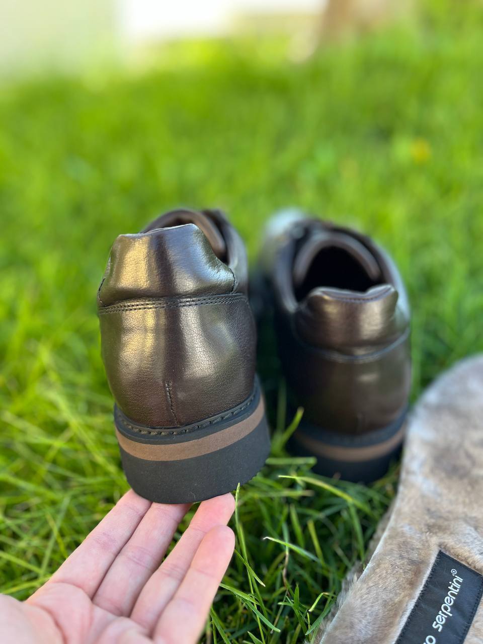 Фото Roberto Serpentini