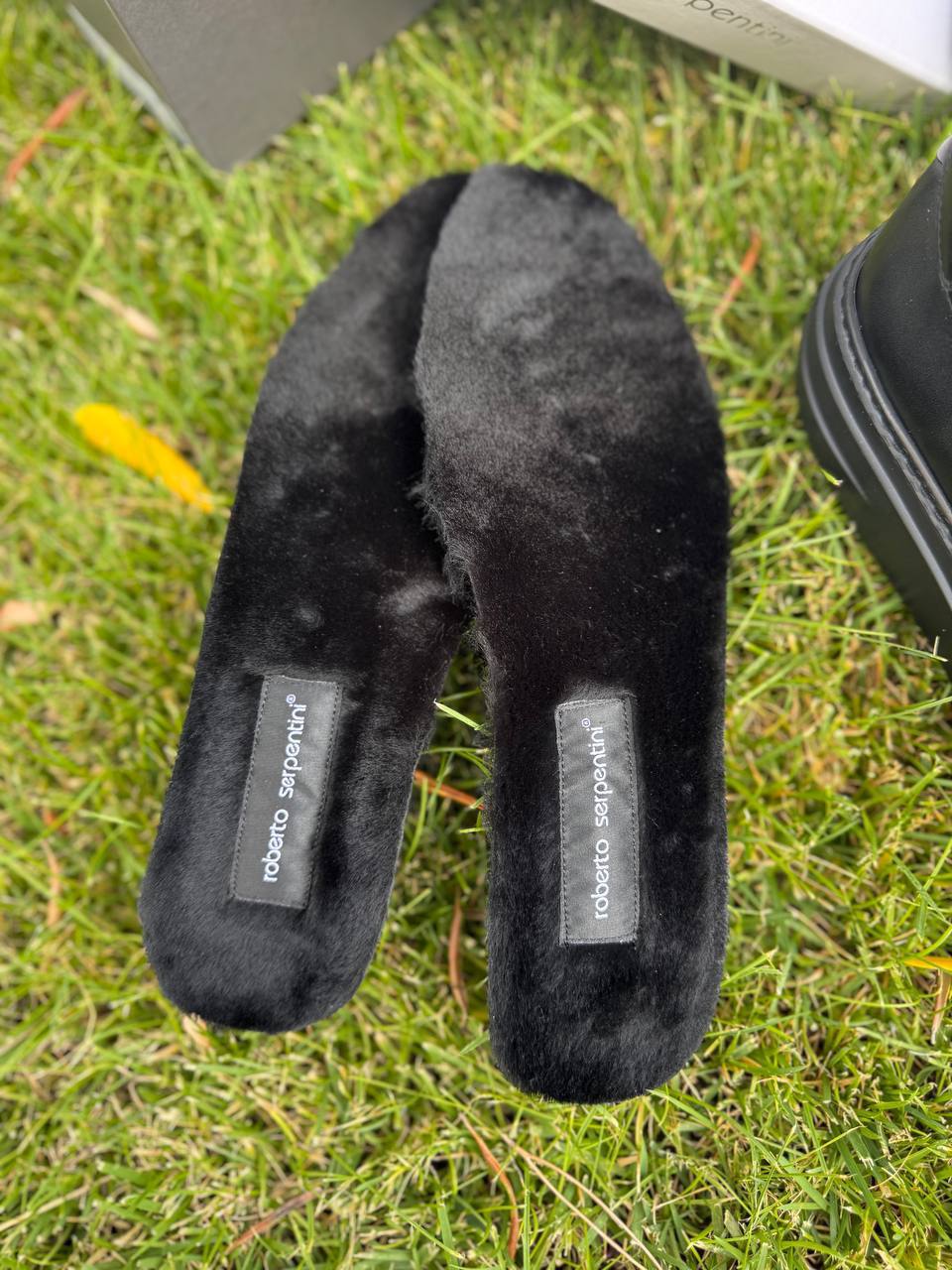 Фото Roberto Serpentini