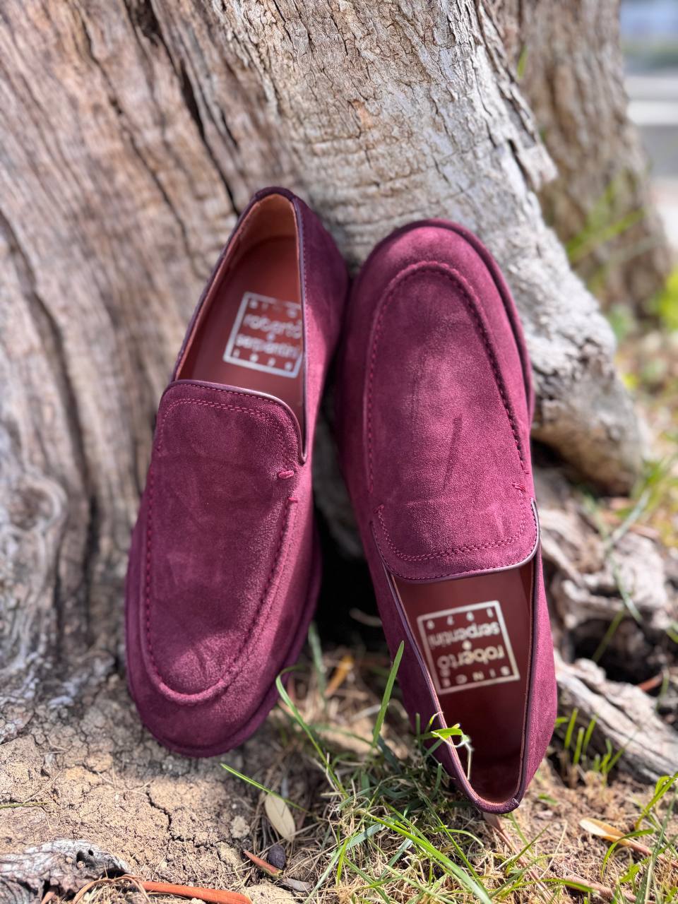 Фото Roberto Serpentini