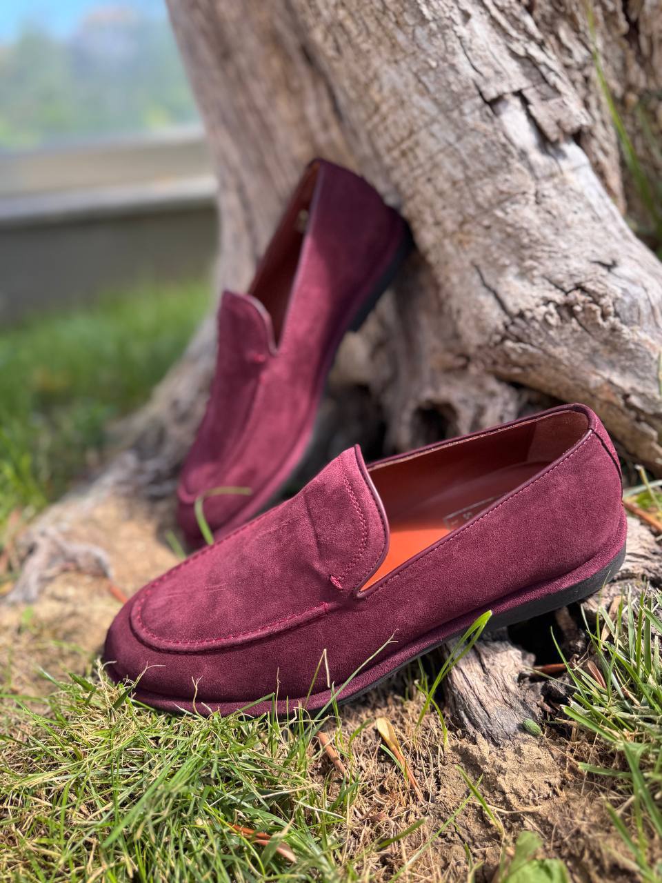 Фото Roberto Serpentini