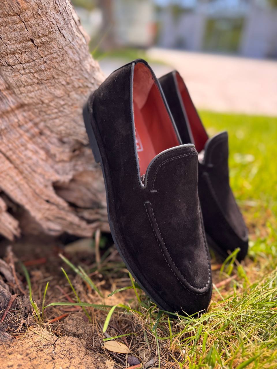 Фото Roberto Serpentini