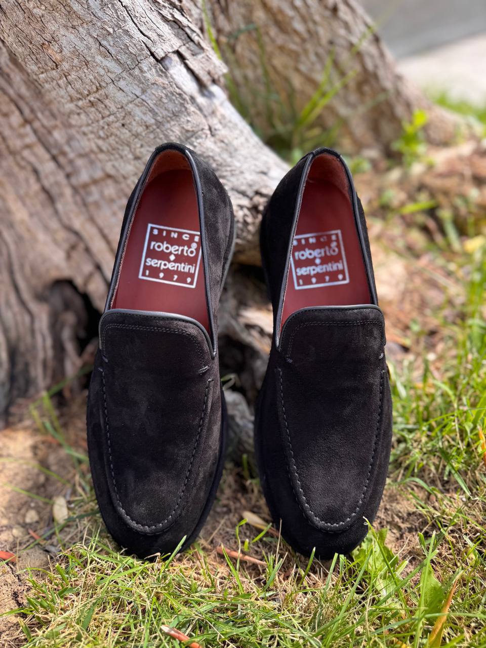 Фото Roberto Serpentini