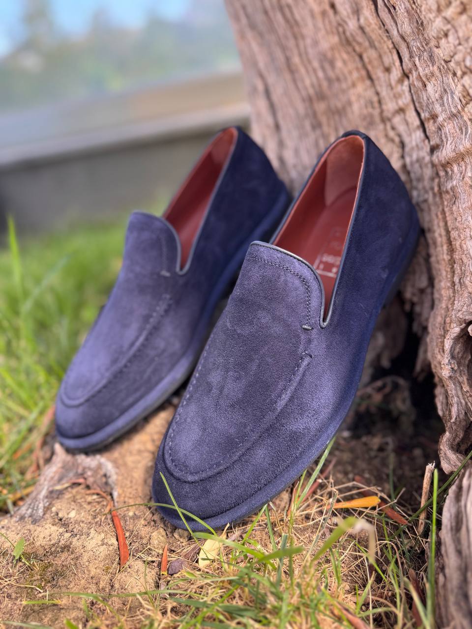 Фото Roberto Serpentini