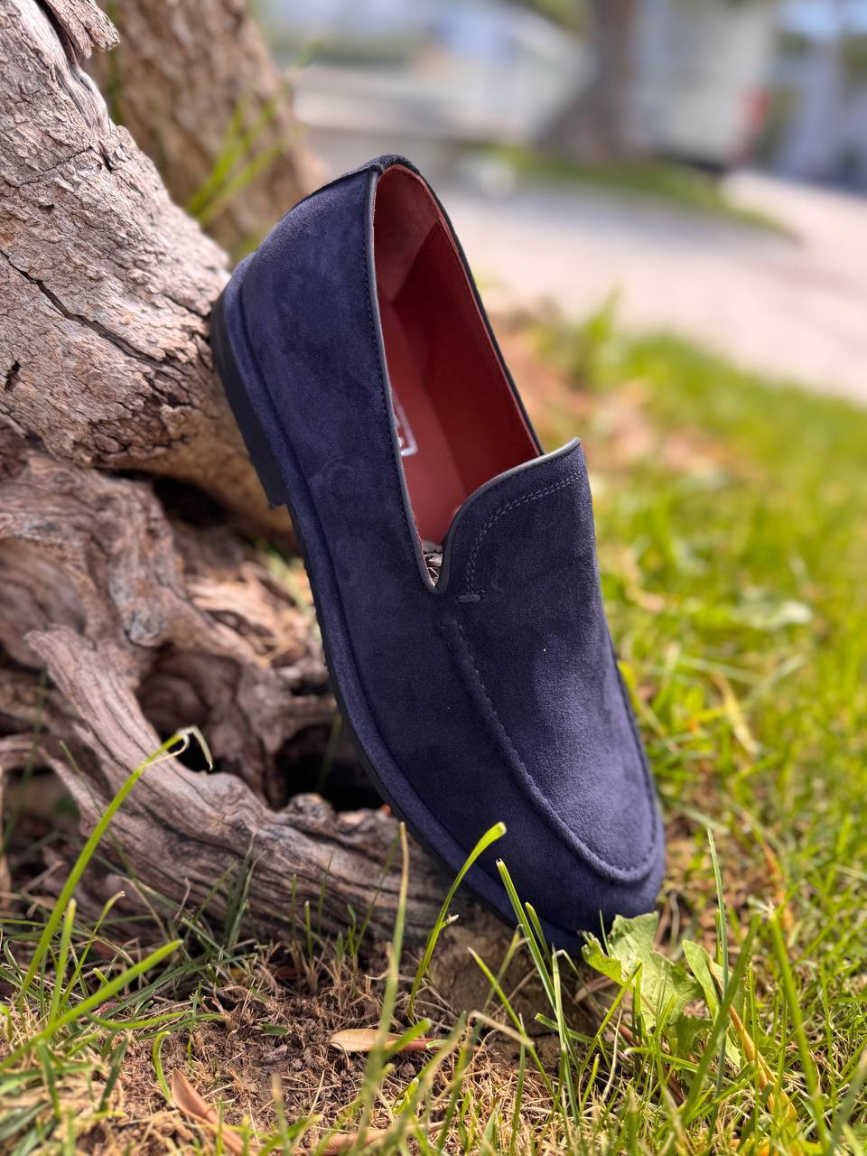 Фото Roberto Serpentini