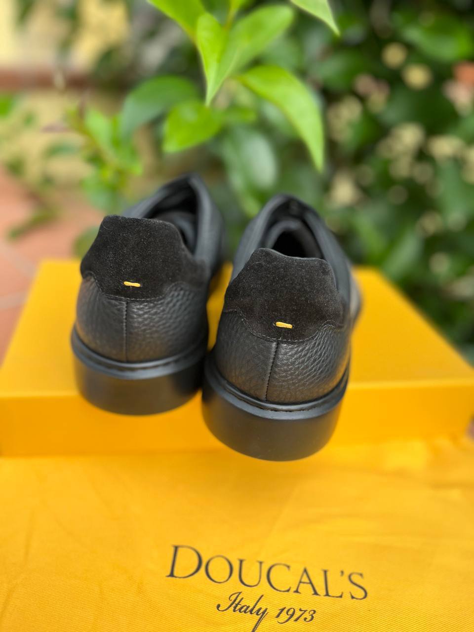 Фото Roberto Serpentini