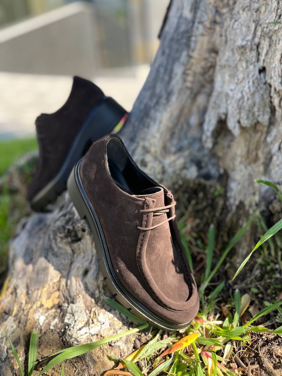 Фото Roberto Serpentini