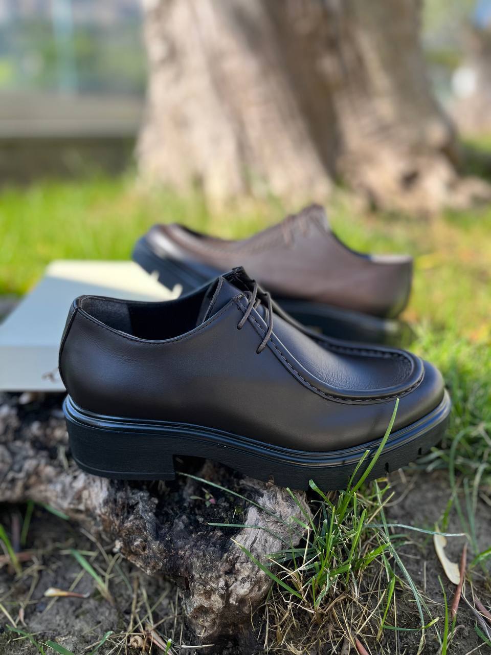 Фото Roberto Serpentini