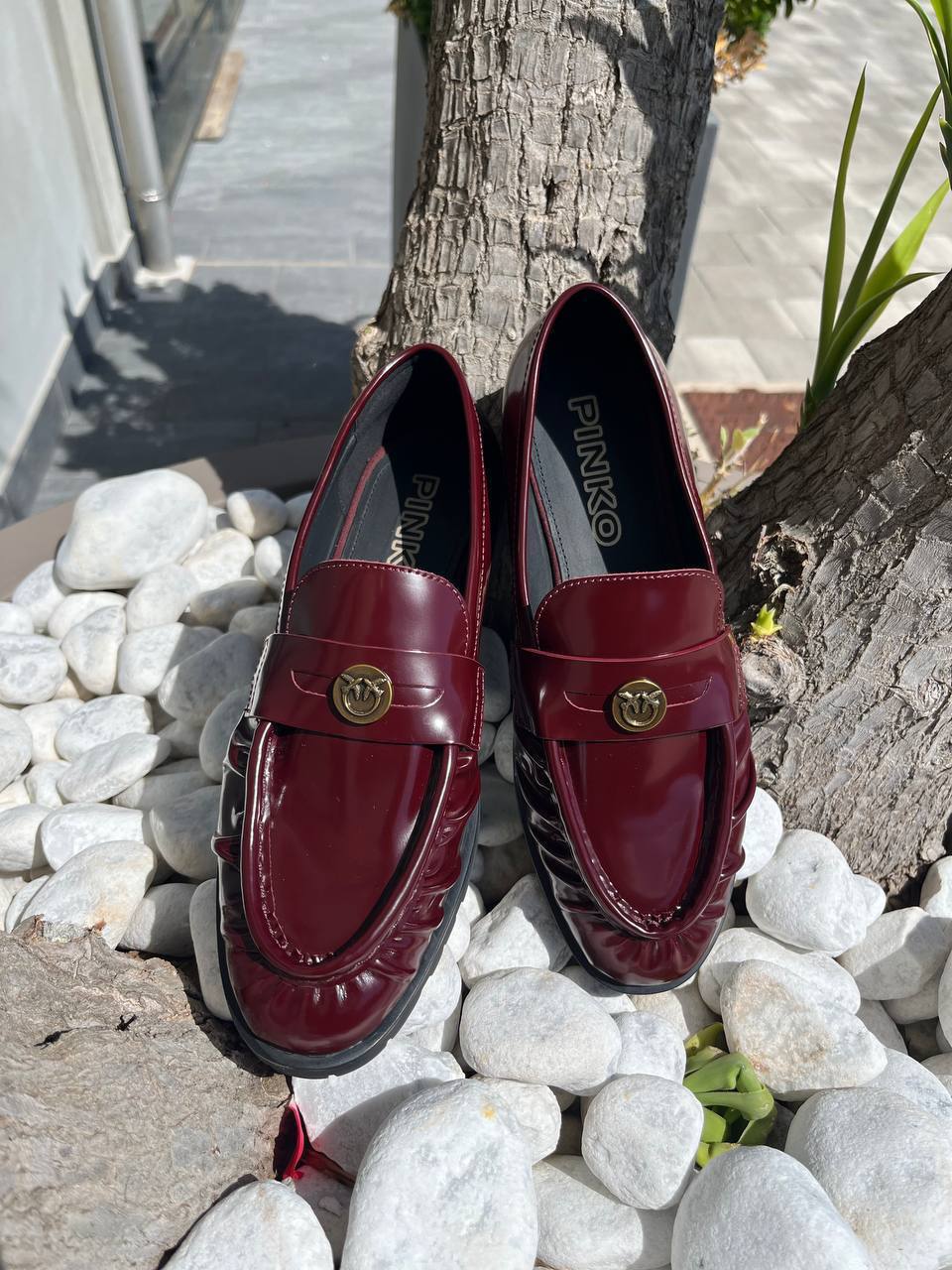 Фото Roberto Serpentini