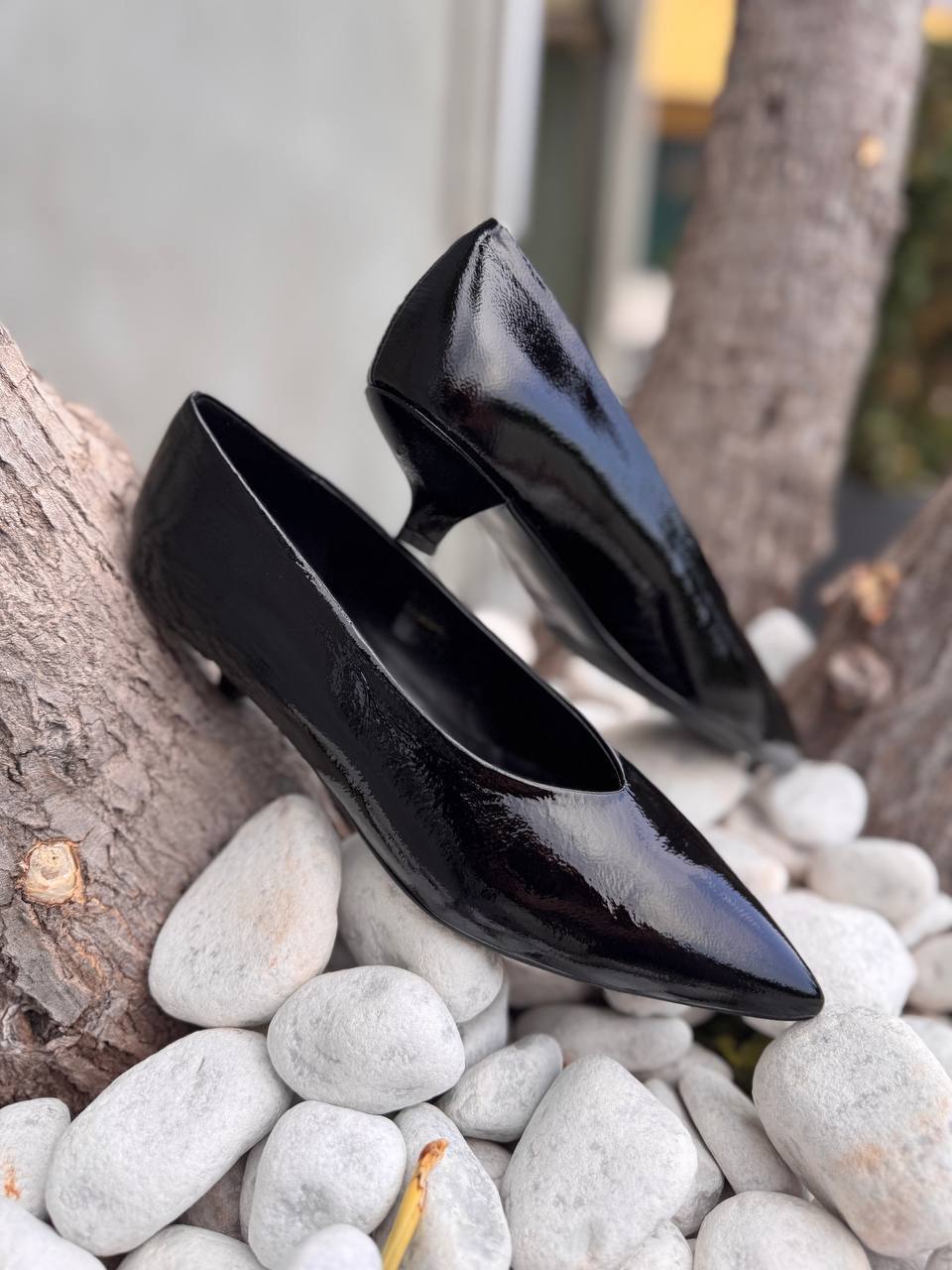 Фото Roberto Serpentini