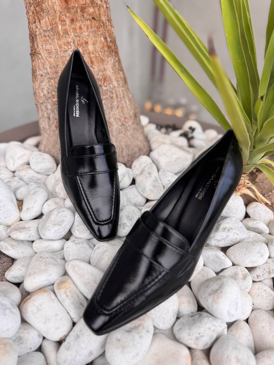 Roberto Serpentini Фото Roberto Serpentini