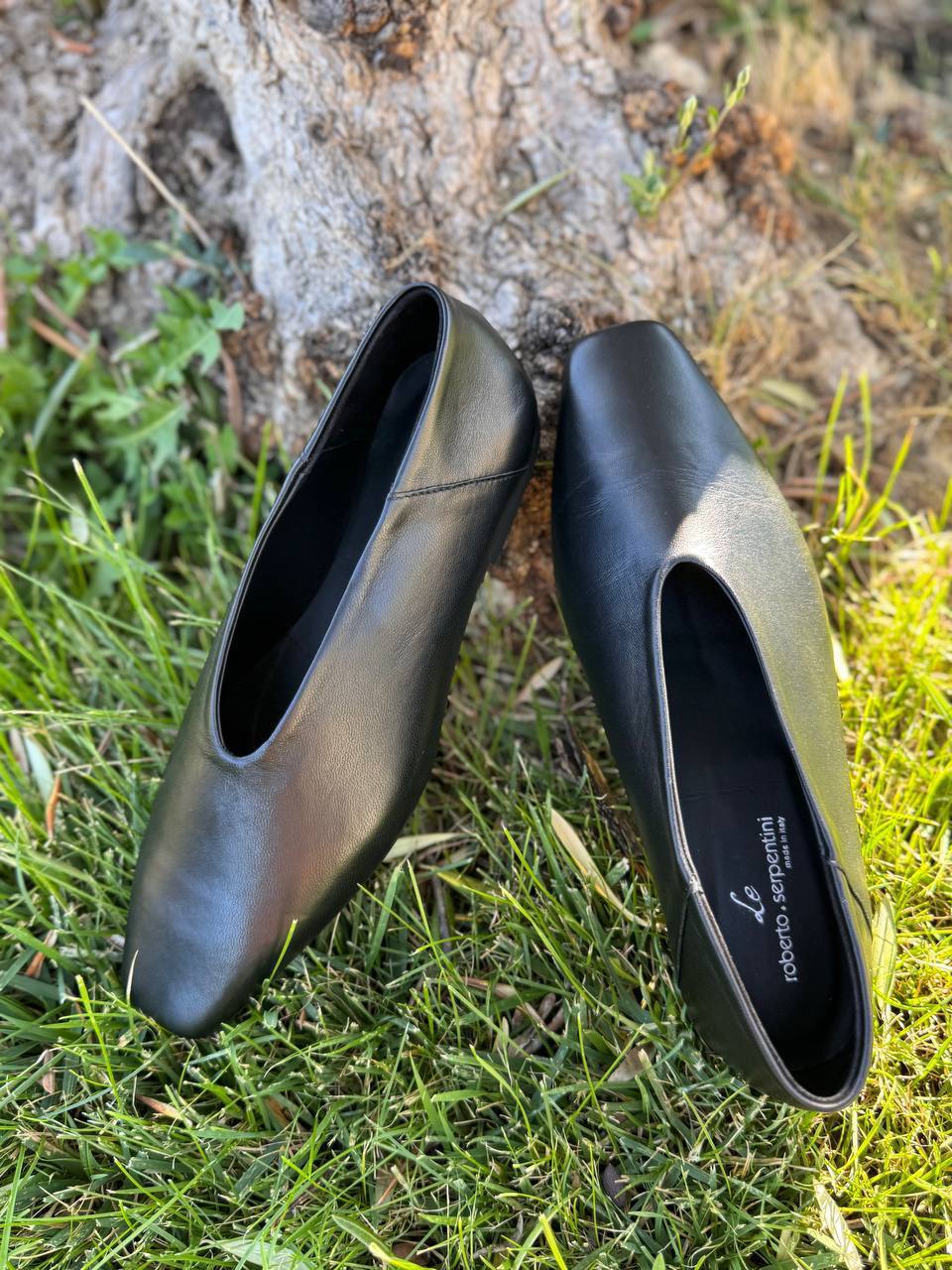 Фото Roberto Serpentini