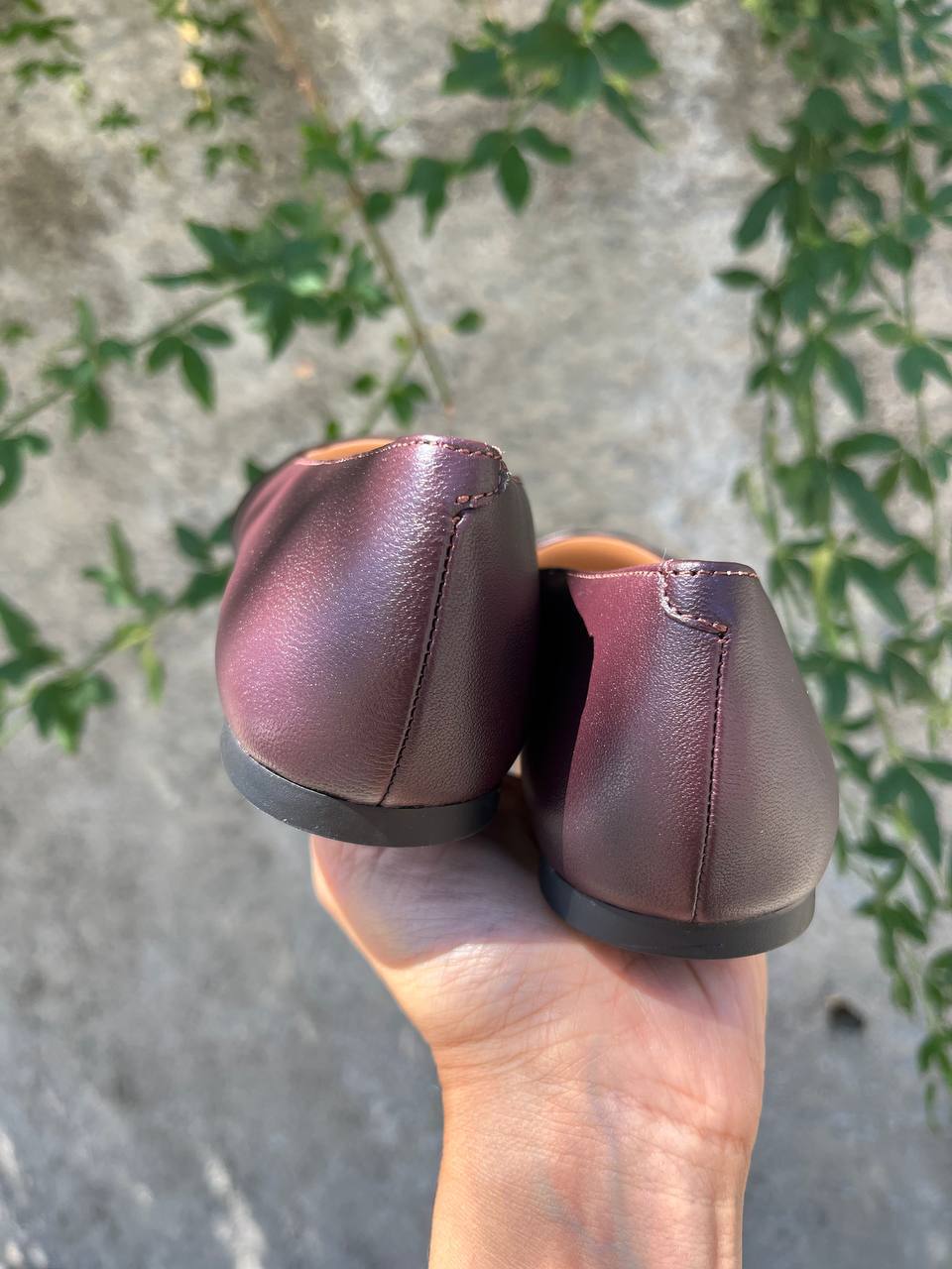 Фото Roberto Serpentini