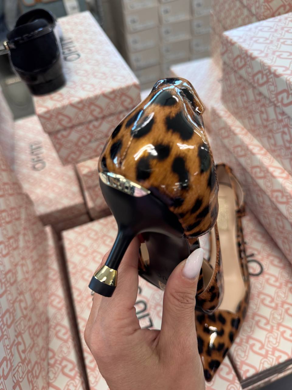 Фото Roberto Serpentini