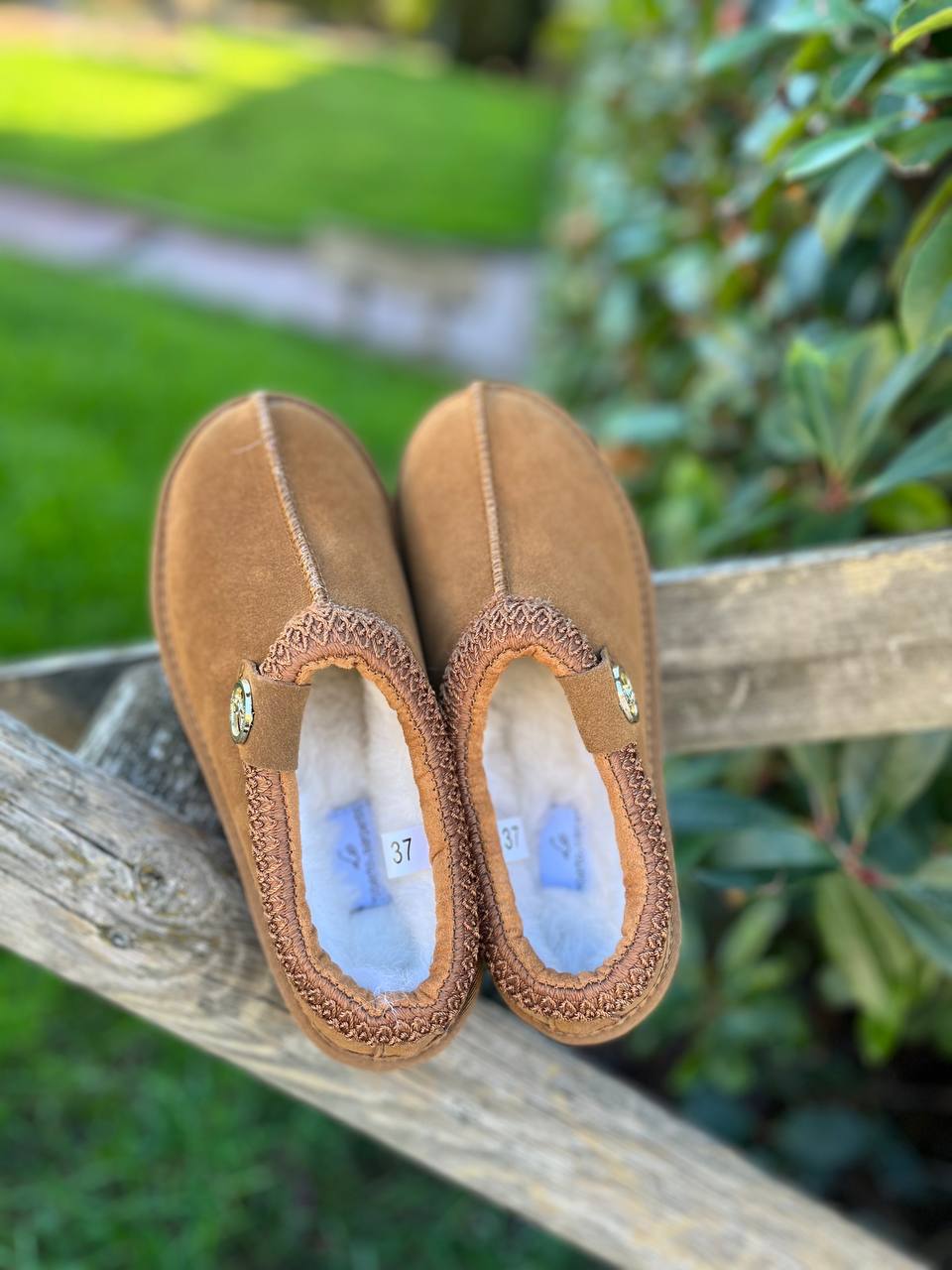 Фото Roberto Serpentini